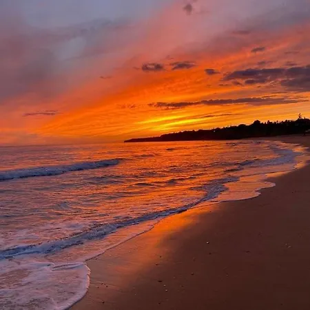 Tiny House * Armação de Pêra