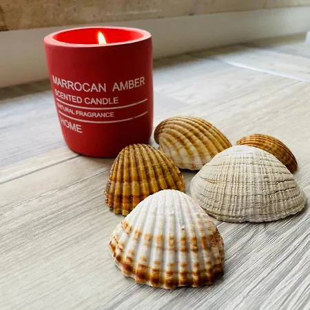 Tiny House Hébergement de vacances *